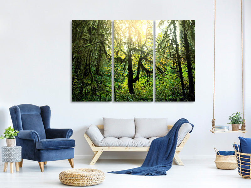 3-piece-canvas-print-dreamy-forest