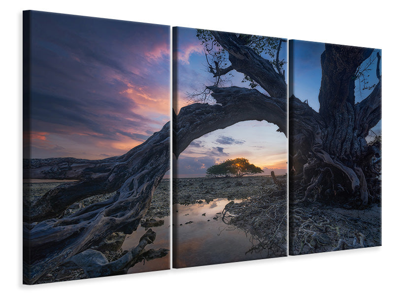 3-piece-canvas-print-dry