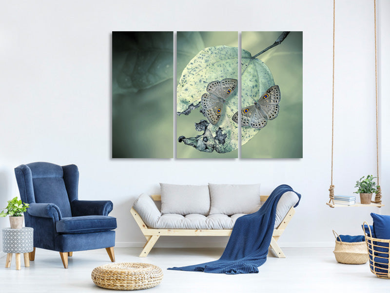 3-piece-canvas-print-duet