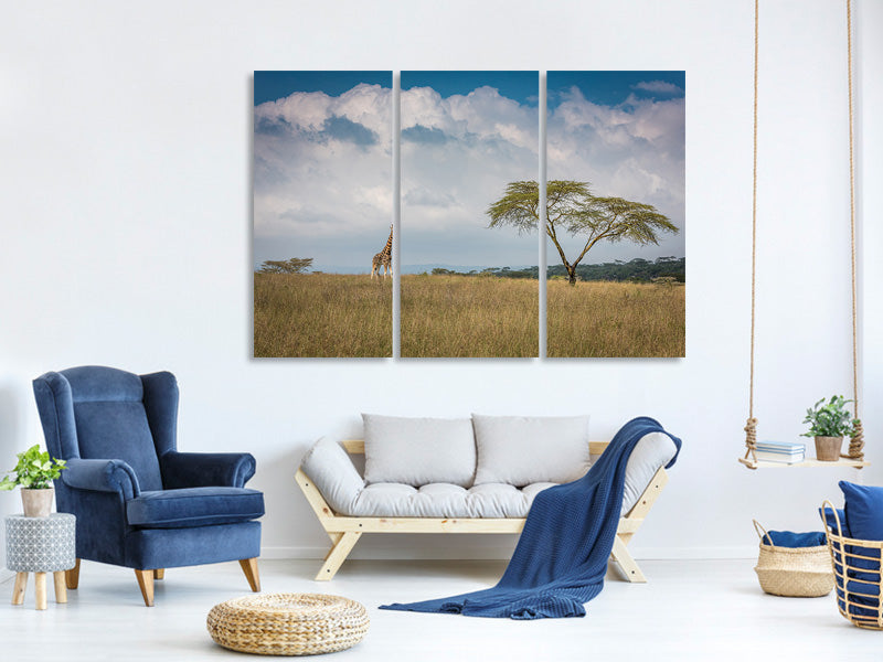 3-piece-canvas-print-east-africa