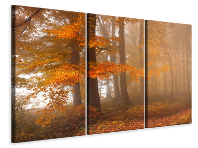 3-piece-canvas-print-edge-of-the-woods