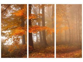 3-piece-canvas-print-edge-of-the-woods
