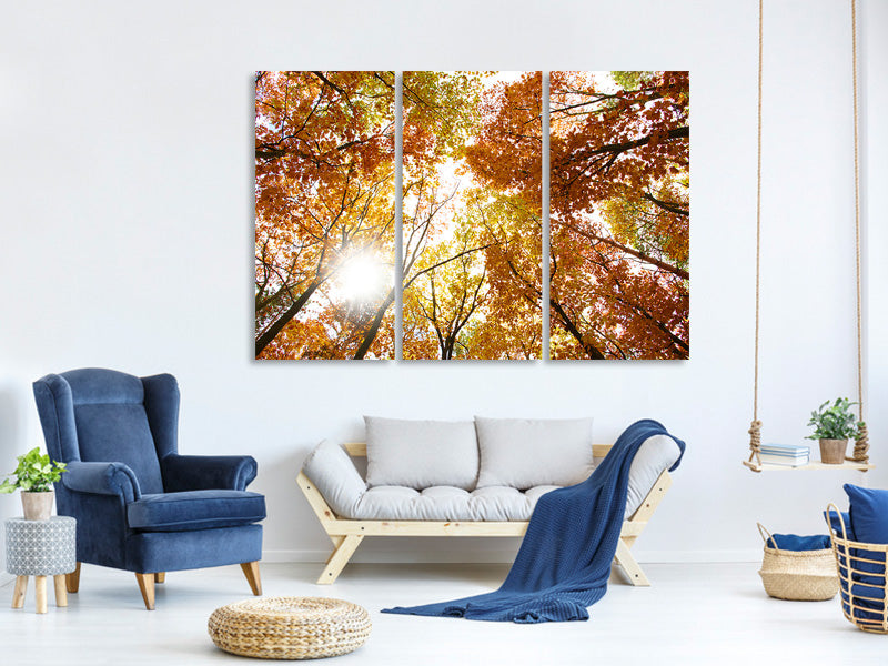 3-piece-canvas-print-enlightened-autumn-trees