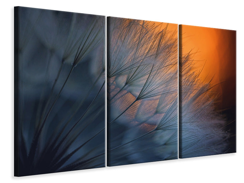 3-piece-canvas-print-feathers-p