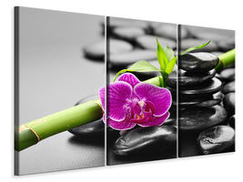 3-piece-canvas-print-feng-shui-orchid