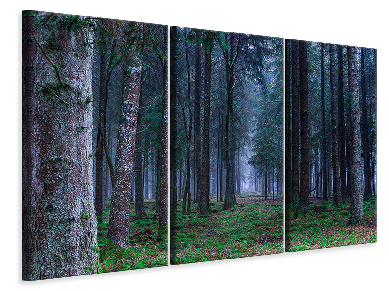 3-piece-canvas-print-fir-trees-forest