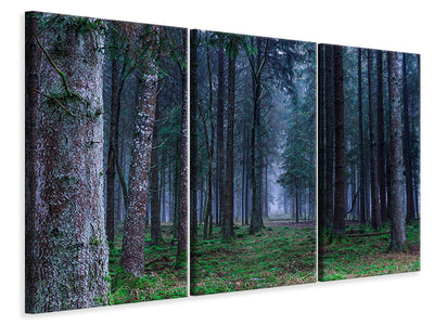 3-piece-canvas-print-fir-trees-forest