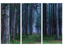 3-piece-canvas-print-fir-trees-forest