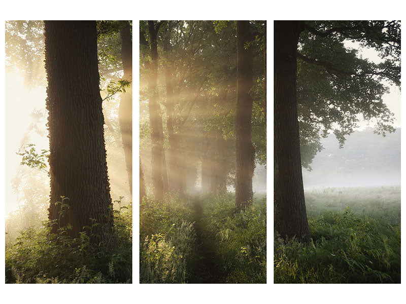 3-piece-canvas-print-first-day-of-summer