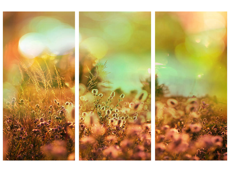 3-piece-canvas-print-flower-meadow-at-twilight