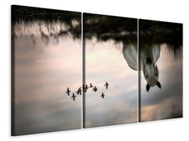 3-piece-canvas-print-fly