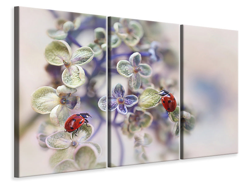 3-piece-canvas-print-fragile