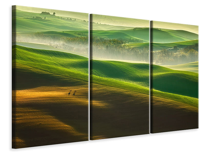 3-piece-canvas-print-freedom-ii