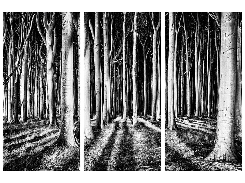 3-piece-canvas-print-ghost-forest