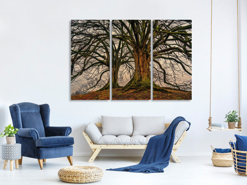 3-piece-canvas-print-ghostly-trees