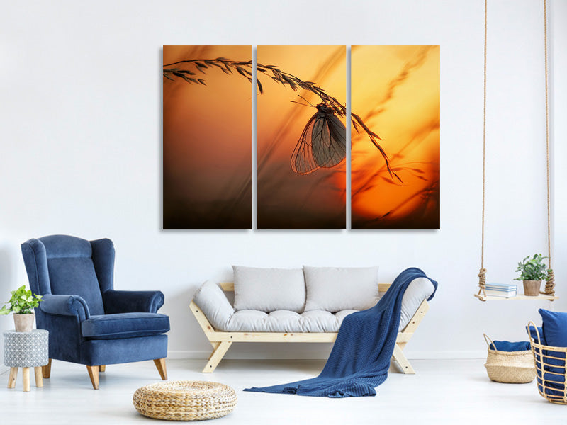 3-piece-canvas-print-good-night