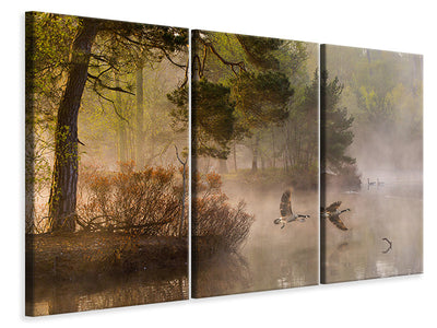 3-piece-canvas-print-goose-fight