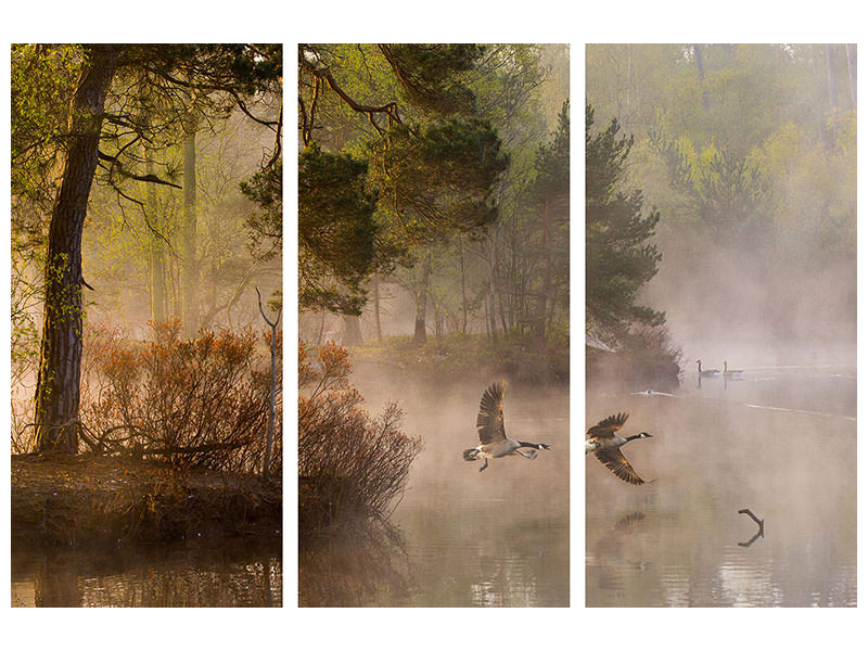 3-piece-canvas-print-goose-fight