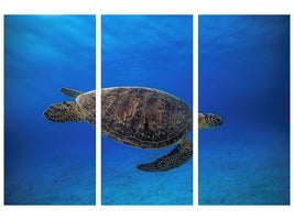 3-piece-canvas-print-green-turtle-in-the-blue