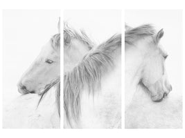 3-piece-canvas-print-horses