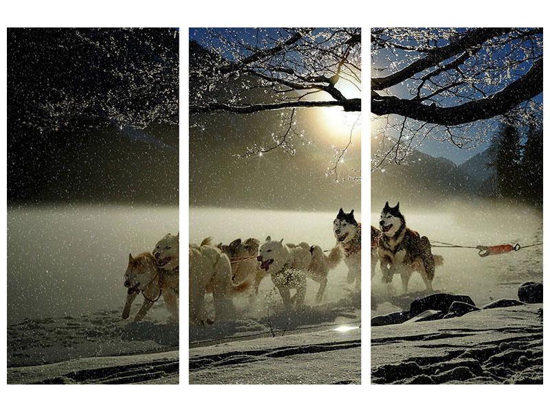 3-piece-canvas-print-huskies