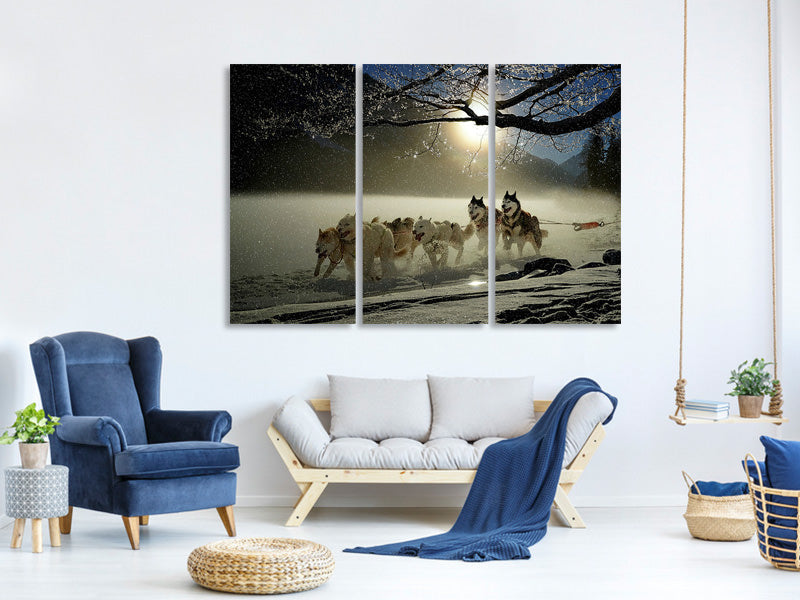 3-piece-canvas-print-huskies