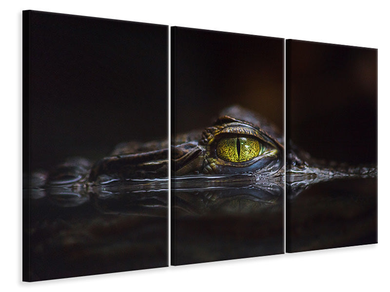 3-piece-canvas-print-hypnotic