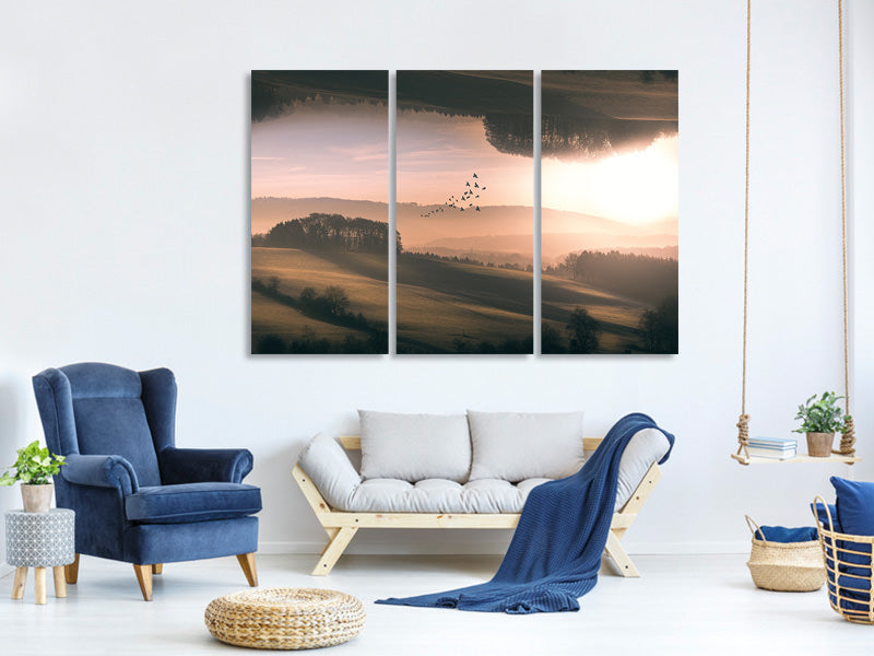 3-piece-canvas-print-interplanar