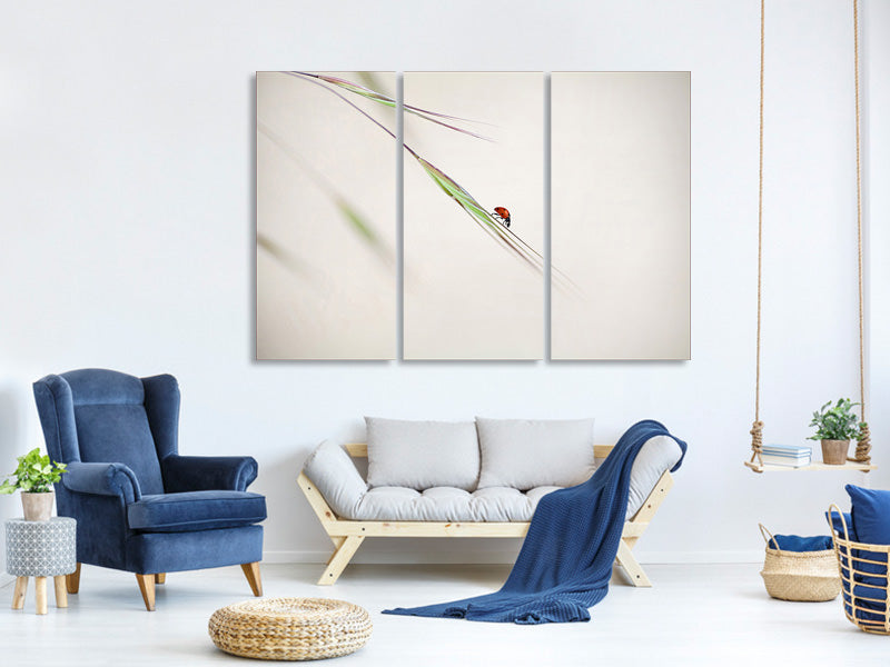 3-piece-canvas-print-ladybug