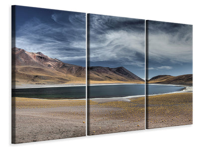 3-piece-canvas-print-laguna-miscanti-et-miniques