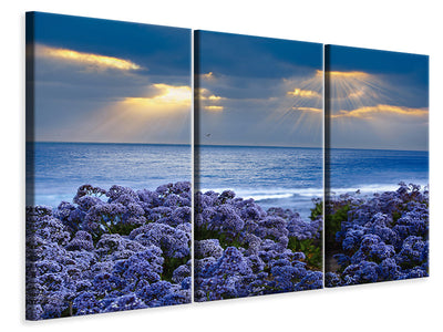 3-piece-canvas-print-lavender-and-sea