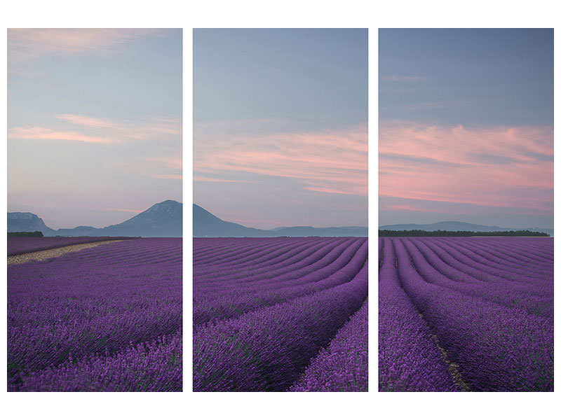 3-piece-canvas-print-lavender-field