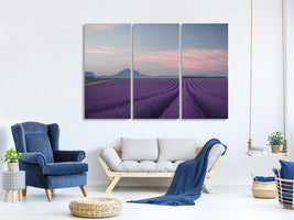 3-piece-canvas-print-lavender-field