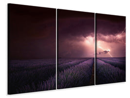 3-piece-canvas-print-lavender-fragrance