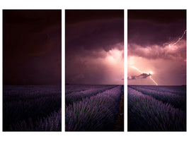 3-piece-canvas-print-lavender-fragrance