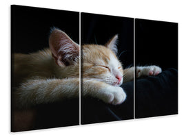 3-piece-canvas-print-lazy-cat