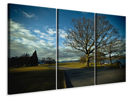 3-piece-canvas-print-loch-lomond