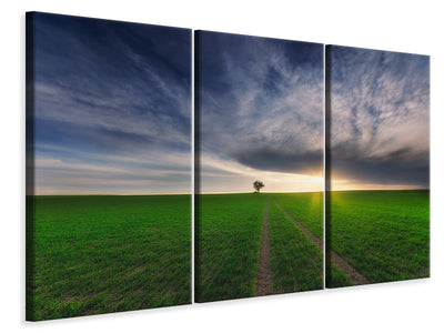 3-piece-canvas-print-loner-in-the-sun