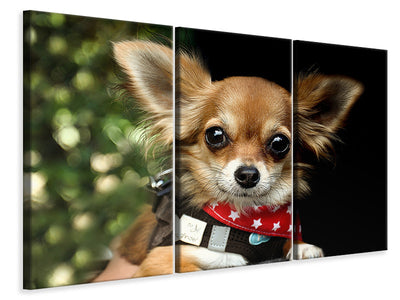 3-piece-canvas-print-look-into-my-eyes-small