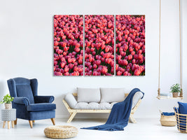 3-piece-canvas-print-lush-tulip-field