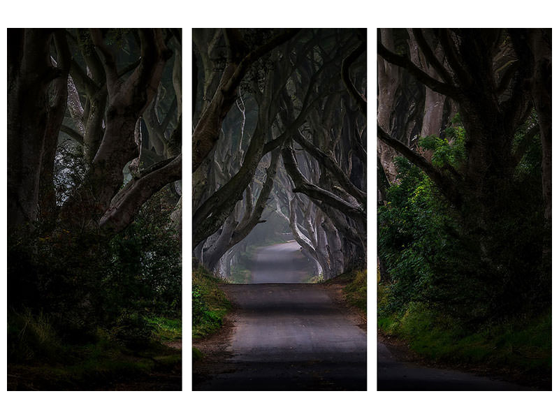 3-piece-canvas-print-magic-road