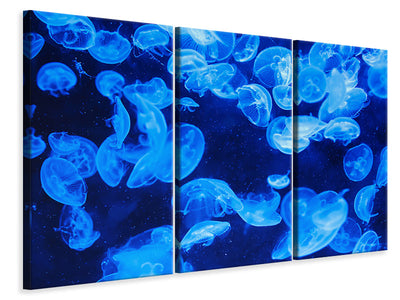 3-piece-canvas-print-many-jellyfish-in-the-blue-water