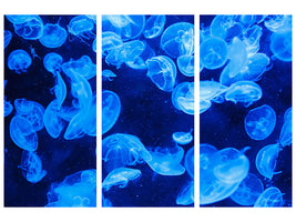 3-piece-canvas-print-many-jellyfish-in-the-blue-water