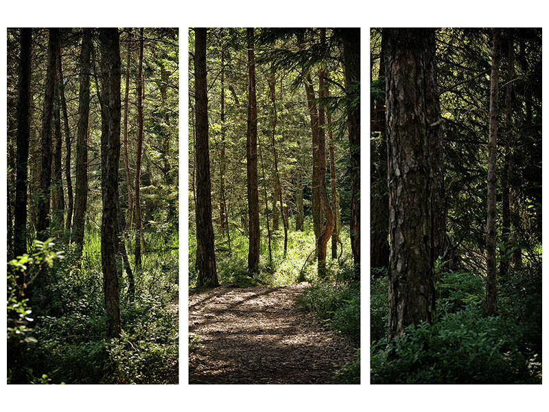 3-piece-canvas-print-many-trees