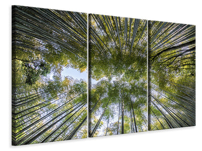 3-piece-canvas-print-many-treetops