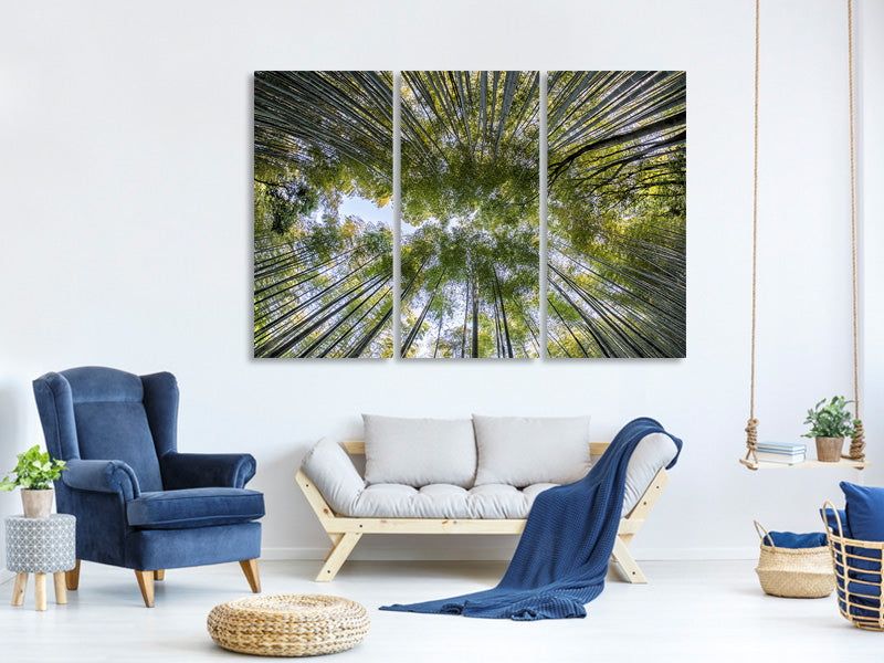 3-piece-canvas-print-many-treetops