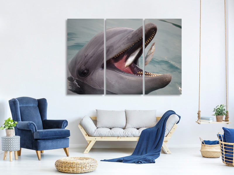 3-piece-canvas-print-mealtime-for-a-dolphin