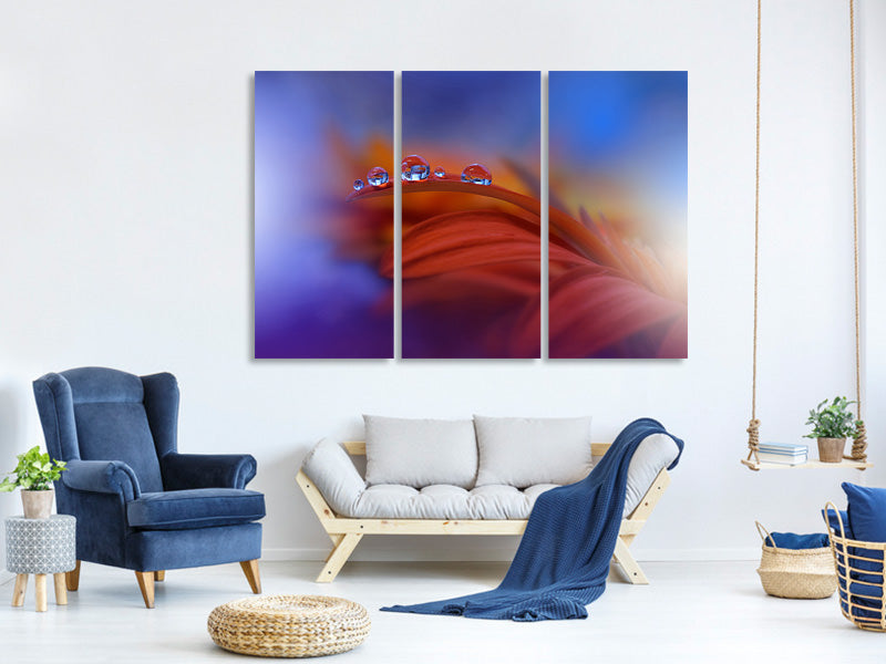 3-piece-canvas-print-metamorphosis