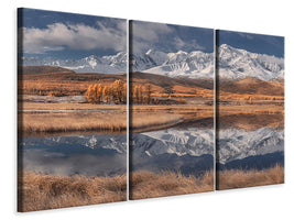 3-piece-canvas-print-mirror-for-mountains-iii