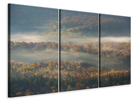 3-piece-canvas-print-misty-morning-ii-a